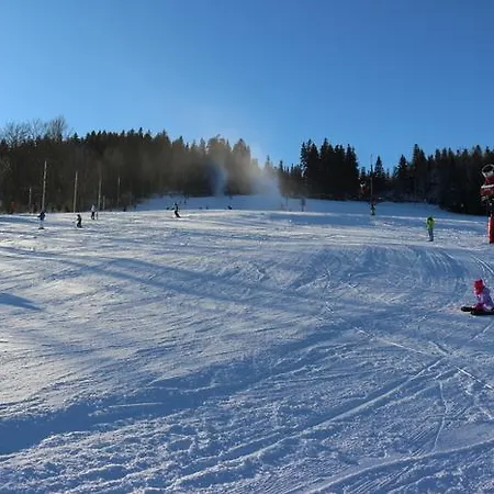 Karpatka 1 Przy Wyciagu Narciarskim 아파트 *