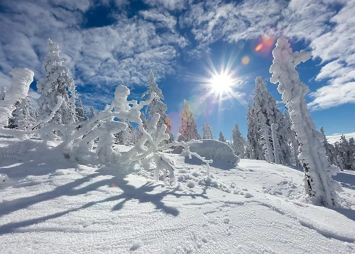 Karpatka 1 Przy Wyciagu Narciarskim شقة كارباش